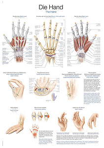 Die Hand